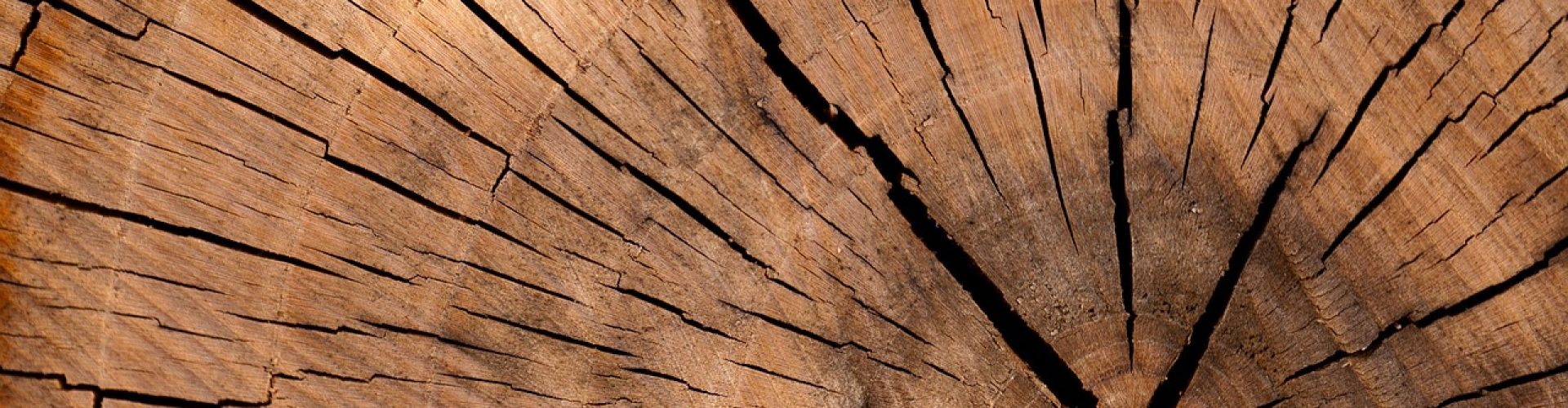 lumber-log-wood-84678 lumber, log, wood-84678.jpg